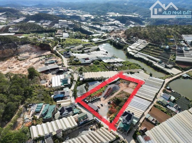 Cần bán các lô đất Biệt Thự giá F0 tại đường Lâm Văn Thạnh, Đà Lạt. - 2