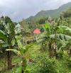 BÁN 1.6HA ĐẤT VIEW RUỘNG SẴN NHÀ VƯỜN AO CHUỒNG 📌📌📌LÀM VIỆC TRỰC TIẾP GIÁ TỐT !!!