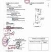 Bán lô đất DT 2075 M mặt đường Nguyễn Bỉnh Khiêm Đông Hải HA