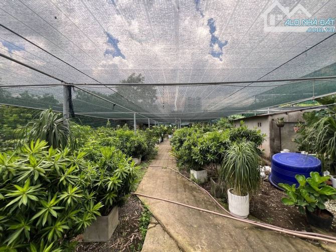 MT Nguyễn Duy Trinh, nhỉnh 700 tỷ 11.600m². Quỹ đất vàng cực hiếm tại TP. Thủ Đức