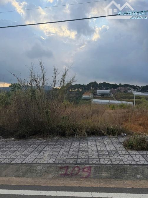 ✨🏡 ĐẤT MẶT TIỀN AN SƠN – P.04 ĐÀ LẠT | 115M², 2 MẶT TIỀN, SỔ HỒNG RIÊNG 🏡✨