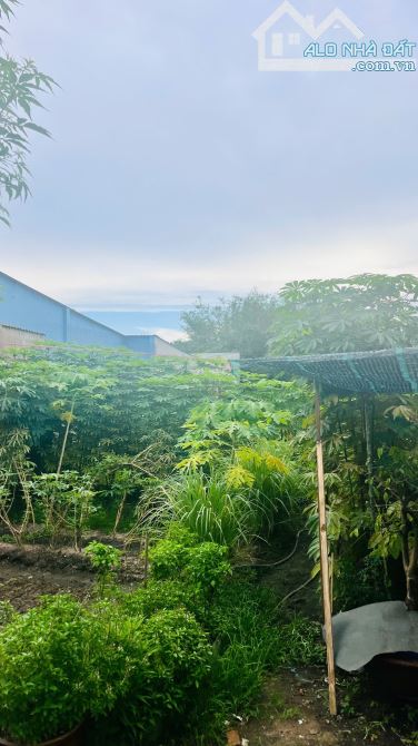 552m2 Mặt Tiền đường Chú giảm 600 triệu giá chào mới 12.9 tỷ. - 1