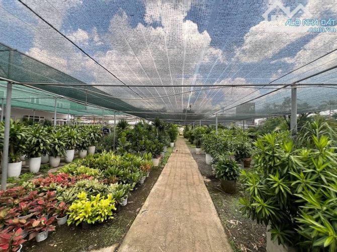 MT Nguyễn Duy Trinh, nhỉnh 700 tỷ 11.600m². Quỹ đất vàng cực hiếm tại TP. Thủ Đức - 2