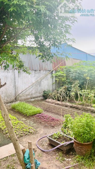 552m2 Mặt Tiền đường Chú giảm 600 triệu giá chào mới 12.9 tỷ. - 3