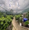 MT Nguyễn Duy Trinh, nhỉnh 700 tỷ 11.600m². Quỹ đất vàng cực hiếm tại TP. Thủ Đức