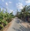 ĐẤT 1000M2 TÂN NHỰT BÌNH CHÁNH GIÁ CHỈ 10,8 TỶ