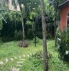 🏡 BÁN NHÀ ĐẸP ĐƯỜNG HÙNG VƯƠNG – PHƯỜNG 10, TP. ĐÀ LẠT