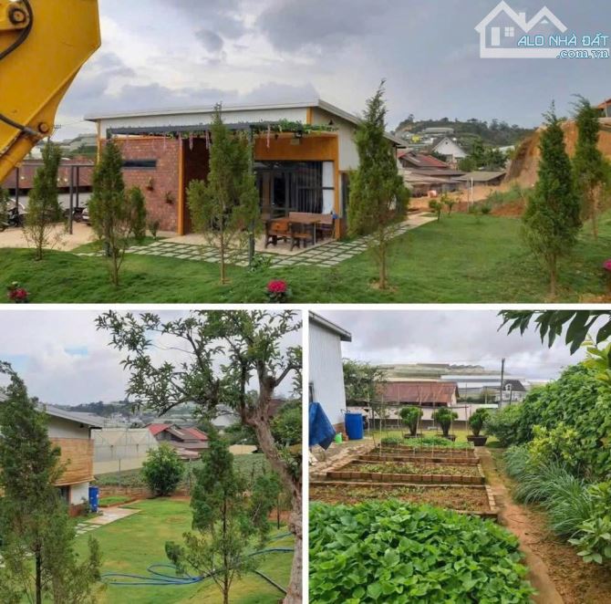 Bán căn Homestay Đà Lạt 629m2 - 5,4 tỷ - sân vườn rộng