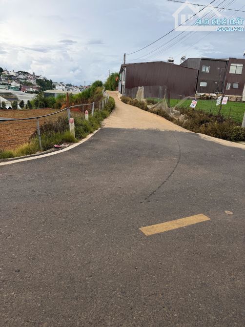 Lô Biệt Thự Đà Lạt 289m2 - 7 tỷ - đường QH 10m - Giá đầu tư
