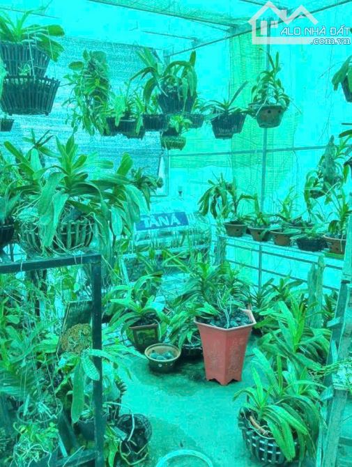 🏡 GIẢM CHÀO CÒN 8,5 TỶ – NHÀ ĐẸP BÙI XƯƠNG TRẠCH – CHỈ 1 NHÀ RA NGÕ Ô TÔ - 3