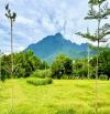 Bán đất Tản Lĩnh, Ba Vì gần UB xã, sân golf Suối Hai, 655m, oto, đường thông, 2.65tỷ