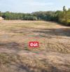 BÁN ĐẤT PHÚ AN, TP.BẾN CÁT, DT:31x129, TC100M2, SHR, GIÁ 16,562 TỶ