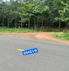 BÁN ĐẤT PHƯỚC SANG, PHÚ GIÁO, DT:120x86, CLN, SHR, GIÁ 5 TỶ chốt