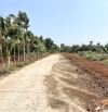 💎  9 Lô TC 5x28m ( 1 lô 9x28m)  đường 10KC Hoà Thuận - Đạt Lý