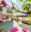 Villa đẹp tại Hội An đang khai thác dòng tiền rất tốt.Doanh thu trung bình 1 tháng hơn 30