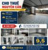 Cho thuê nguyên căn, Phường Phú Thuận. 77m2, rộng rãi, 3 Phòng ngủ, Pn trệt. Giá 9.5 triệu