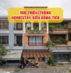 GÀ ĐẺ TRỨNG VÀNG 100 TRIỆU MỖI THÁNG SIÊU NGON