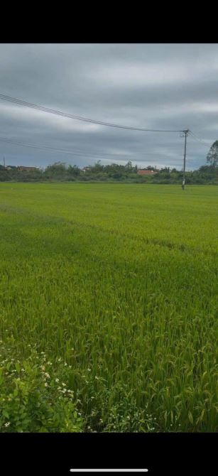 bán đất xã Bến Giằng, Đà Nẵng đường Hồ Chí Minh (Nam Giang) - 2