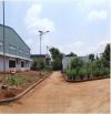 BÁN NHÀ XƯỞNG KCN LONG KHÁNH, TP. ĐỒNG NAI. Giá 1.250.000 USD, DIỆN TÍCH 10.000m2 (1ha).