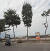 Bán cặp đất Nguyễn Tất Thành 2 mặt tiền trước sau view biển- dt 250m2 ngang 10m