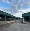 cho thuê kho đường Đào Trí từ 600m-30.000m giá từ 90k-110k/m2