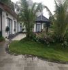 🏡 BÁN VILLA NHÀ VƯỜN THÁI LAI – KIM ANH, SÓC SƠN 🌿 Diện tích 1.040m², mặt tiền 24,7m. 🏠