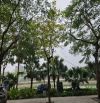 BÁN NHÀ MẶT PHỐ TRỊNH CÔNG SƠN, 2 MẶT THOÁNG, VIEW HỒ, DT 120m2, MT 5m