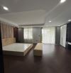 Cho thuê biệt thự Geleximco Lê Trọng Tấn, 200m2, 4 tầng, thang máy