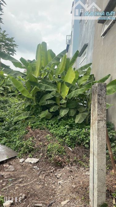 BÁN ĐẤT LÚA NƯỚC PHƯỜNG HIỆP BÌNH PHƯỚC, TP. THỦ ĐỨC