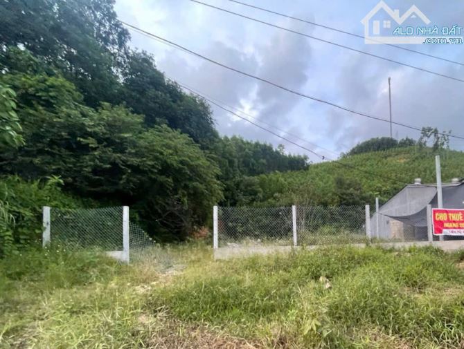 🔥 ĐẤT BÌNH ĐIỀN – MẶT TIỀN QL49A – GIÁ TỐT ĐẦU TƯ 🔥 - 1
