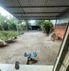 Cần bán gấp căn Nhà cấp 4, 102m2, ở Tân Phú Trung, Củ Chi, giá bán nhanh chỉ 890trieu SHR