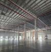 BÁN NHÀ XƯỞNG LÔ GÓC KCN LONG AN – 4.220M² – 2 MẶT TIỀN ĐẸP “NHÌ” KHU – XƯỞNG MỚI 100%