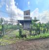 Bán Nhà Yến + Vườn Trái Cây + Ao Cá 5279m2 có thổ cư, đường ô tô tại Cẩm Mỹ, Đồng Nai