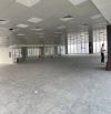 🏗️ MẶT BẰNG 800M² GIÁ RẺ NHẤT KHU TÔN THẤT THUYẾT, NHẬN NGAY ĐẦU THÁNG 9