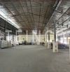 Kho xưởng từ 500 m² - 1.000 m² có PCCC tự động và trạm điện 3 pha, đường Trần Quang Diệu