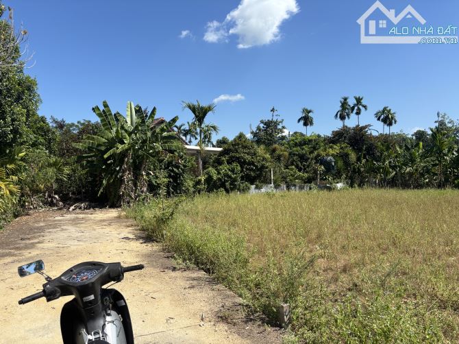 🏠 Đất An Đô Hương Chữ 116,6m2 chỉ 460tr🏠 - 2