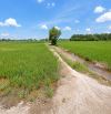 572m2 đất lúa (QH thổ cư) 1/Quốc Lộ 22-Tân Hiệp-Hóc Môn. 3,2ty