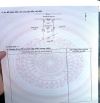 645triệu trung tâm phường Đại Lộc - TP Đà Nẵng