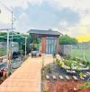 Ngay KCN Trảng Bàng, Nhà sân vườn rộng rãi, thoáng đãng 6x53, chỉ 980 triệu, sổ riêng