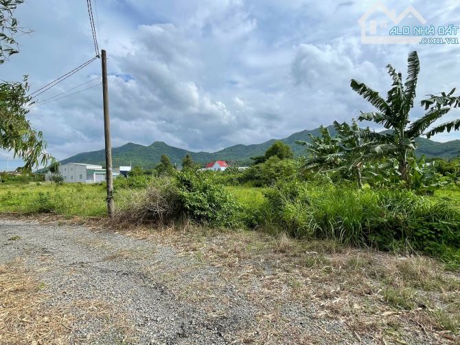 BÁN ĐẤT CHÂU PHA - TP. HCM / GIÁ 1,450 TỶ - 2