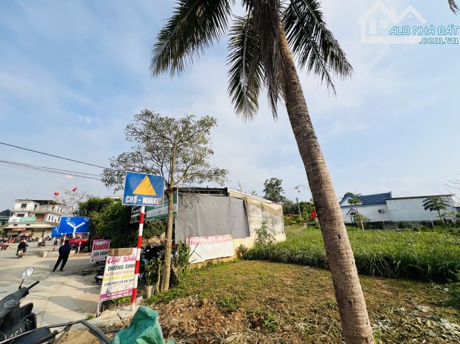CHO THUÊ ĐẤT - Ngã 3 Chợ Sen- Hình thật - 1