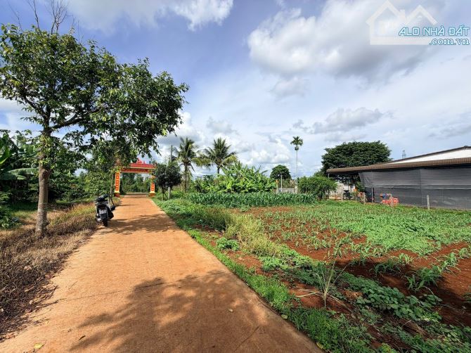 CHỈ 1TỶ1 ĐÃ SỠ HỮU DC LÔ ĐẤT 20M NGANG CÁCH CHỢ EPOK CHƯA TỚI 2,5 KM , BÁN LỖ VỐN 🇻🇳