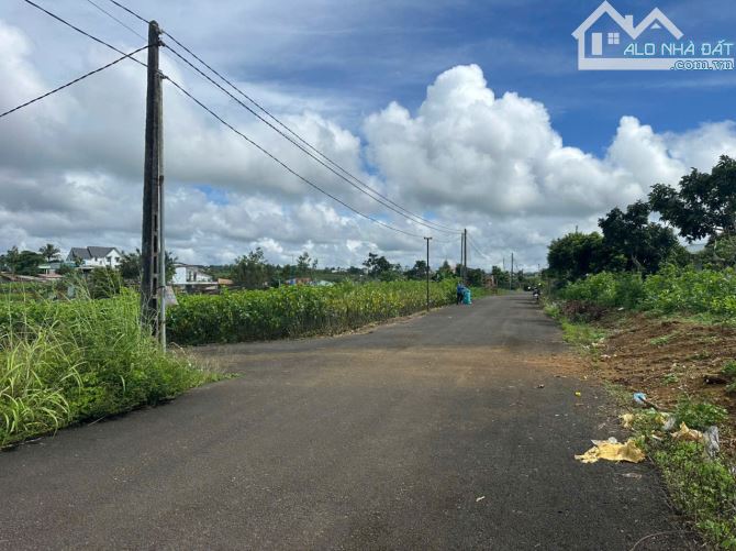 1 sào 200m thổ cư P2 Bảo Lộc chỉ 2ty3. - 4