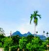 Bán đất Ba Trại, Ba Vì, gần UB xã, sân golf Suối Hai, 2 đg oto, view núi, 2425m, 7.6tỷ.