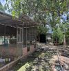 🔥 1.000M² NHÀ VƯỜN – MẶT TIỀN ĐƯỜNG NHỰA XUÂN ĐÔNG