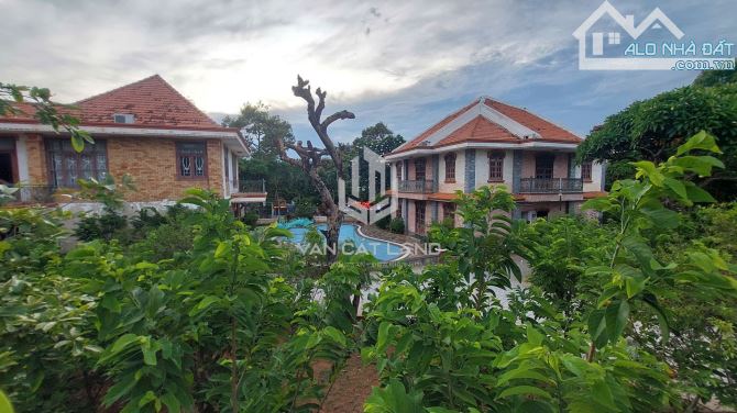 CHO THUÊ TỔ HỢP 2 BIỆT THỰ ĐỒI NGỌC TƯỚC - GÓC 2 MẶT TIỀN 1600M2 SIÊU BỀ THẾ - 2