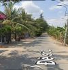 Nhà mặt tiền đường Đê số 02, 1.000m, Xã Tân Nhựt, H. Bình Chánh, sổ hồng chính chủ