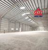 XN351 Cho Thuê kho xưởng gần QL. 51.  P. Phước Tân - TP. Đồng Nai. 3500m2, pháp lý chuẩn.
