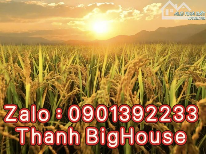 Nhà mặt tiền Nguyễn Văn Quá và kênh tham Lương, diện tích 1100m2, Giá chỉ 78 tỷ - 10