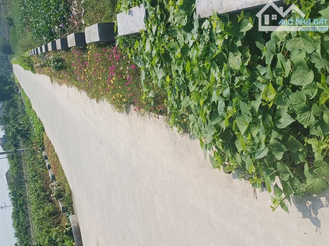 HƠN 1 TỶ  _ 70M2 ĐẤT  DUY NHẤT TẠI ĐÔNG TẢO _ KHOÁI CHÂU _ HƯNG YÊN _ ĐƯỜNG Ô TÔ TẢI - 1